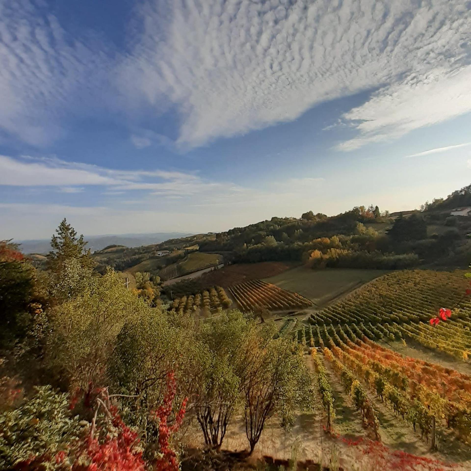 La Giribaldina Winery & Farmhouse Calamandrana Exteriér fotografie